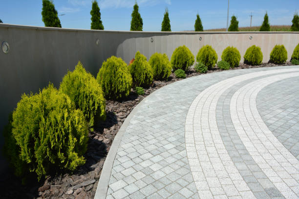 Best Decorative Driveway Pavers  in Solvang, CA